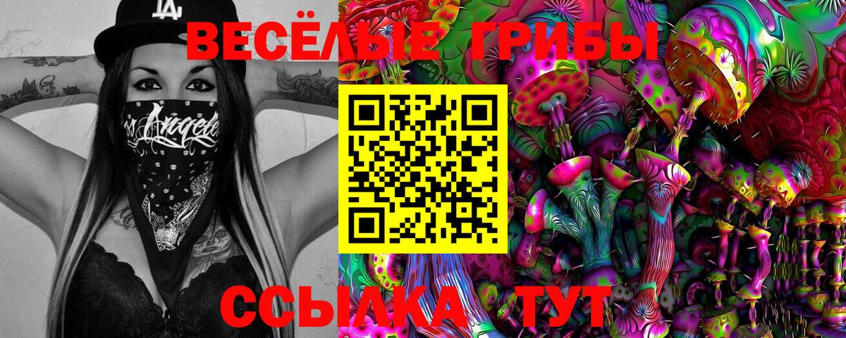 Кузнецк  Псилоцибиновые грибы ЛСД  Галлюциногенные грибы Magic Shrooms  Вход с VPN 