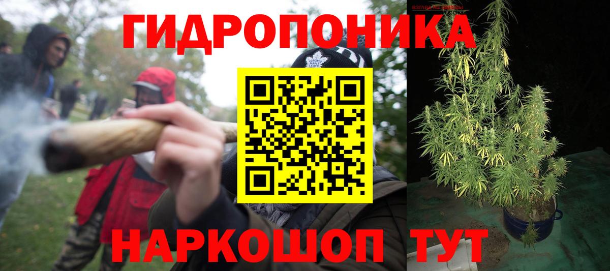 Каннабис OG Kush  Каннабис Ganja  Бошки Шишки планчик  Вход с VPN  Кузнецк  Бошки Шишки сатива 